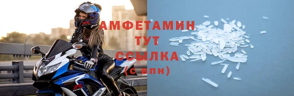 гидра Бородино