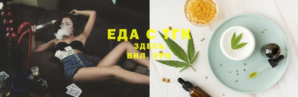 СК Богородск