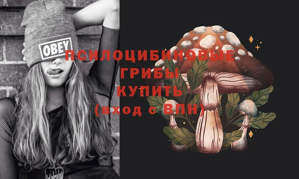 гидра Бородино
